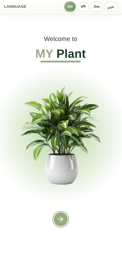 MY PLANT
